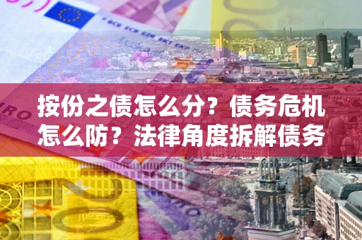 北京按份之债怎么分？债务危机怎么防？法律角度拆解债务分配与风险自保指南