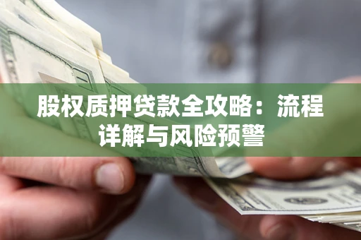 北京股权质押贷款全攻略：流程详解与风险预警