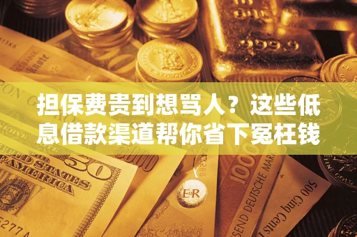 北京担保费贵到想骂人？这些低息借款渠道帮你省下冤枉钱